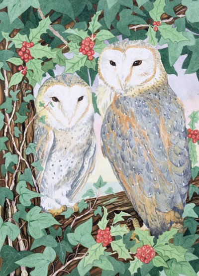 Barn Owls by Suzanne Bailey